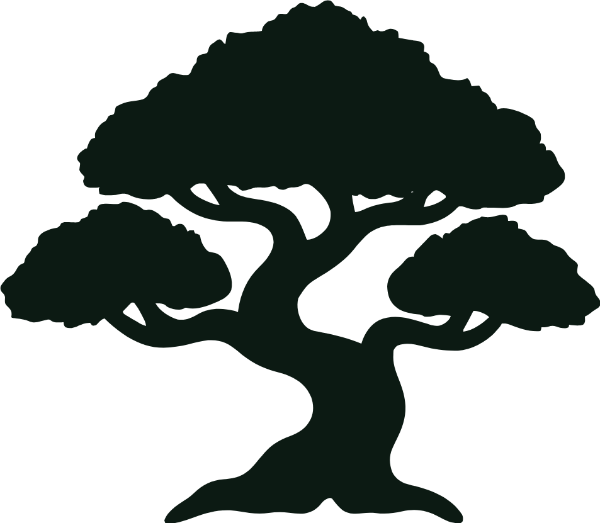 Bonzai